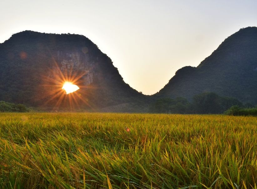 1763001041205261.jpg 1763001041205261.jpg